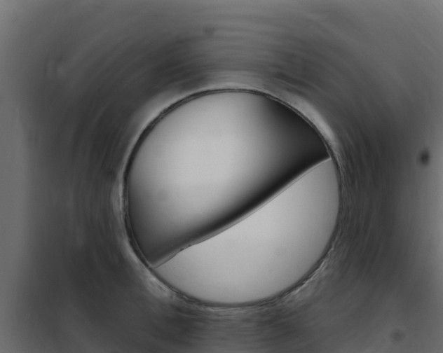 X0000102490996200808081052