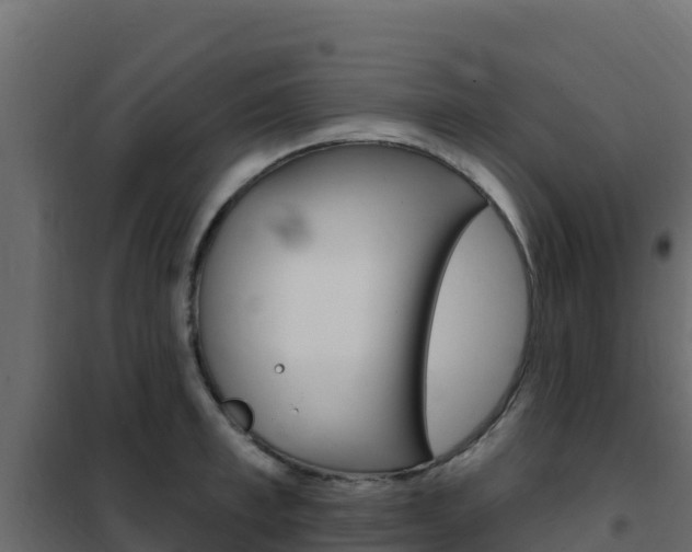 X0000102490997200808081052