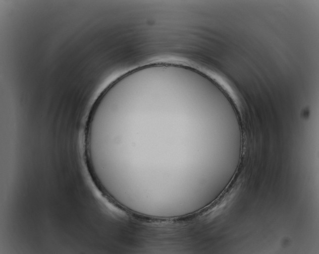 X0000102490999200808081052