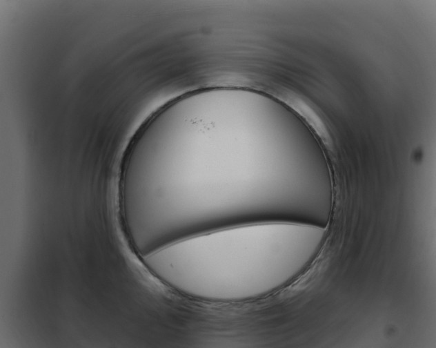 X0000102491000200808081052