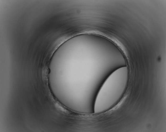 X0000102491001200808081052