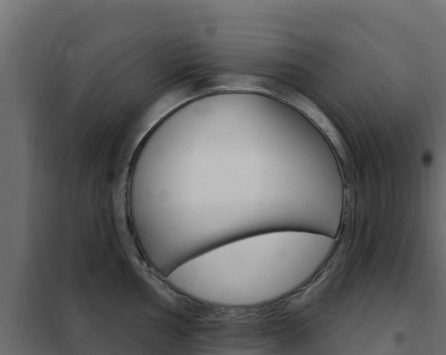 X0000102491002200808081052