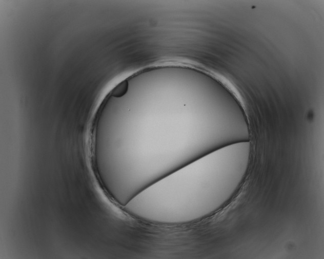 X0000102491003200808081052