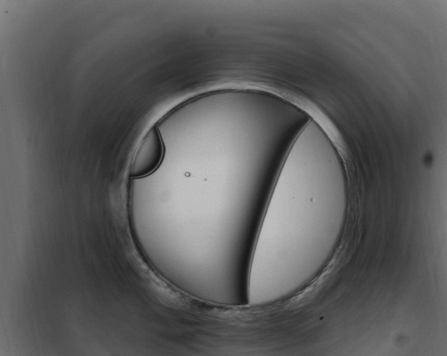 X0000102491004200808081052