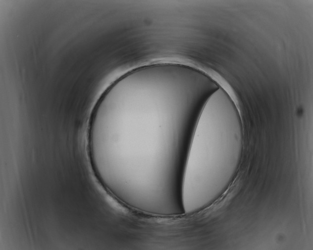 X0000102491005200808081052