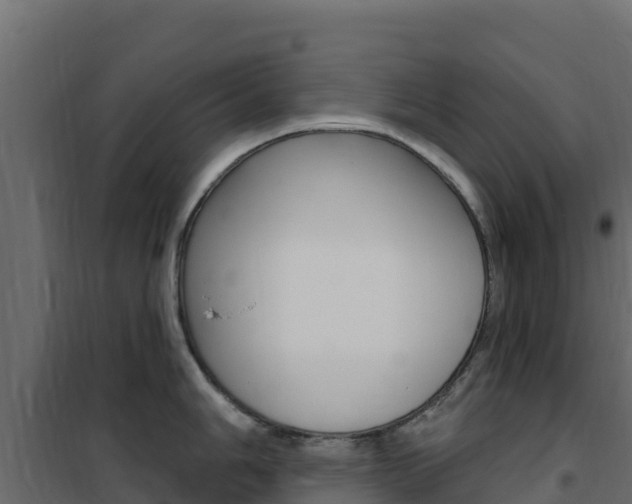 X0000102491006200808081052