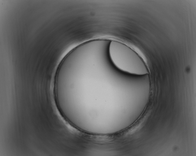 X0000102491007200808081052