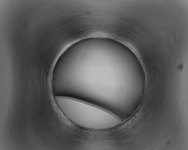 X0000102491008200808081052