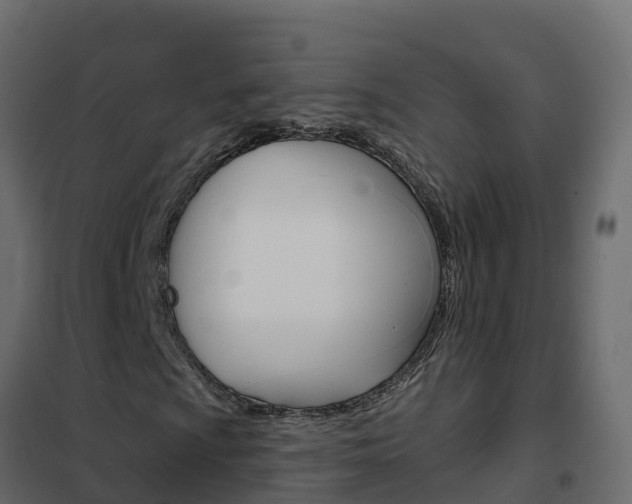 X0000102491009200808081051