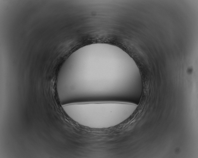 X0000102491010200808081051