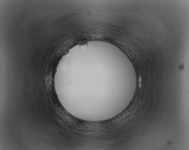 X0000102491011200808081051