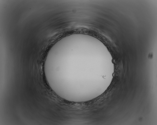 X0000102491013200808081051