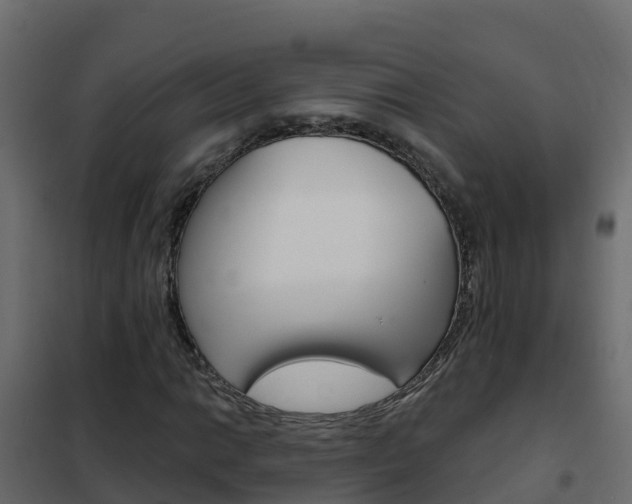 X0000102491014200808081051