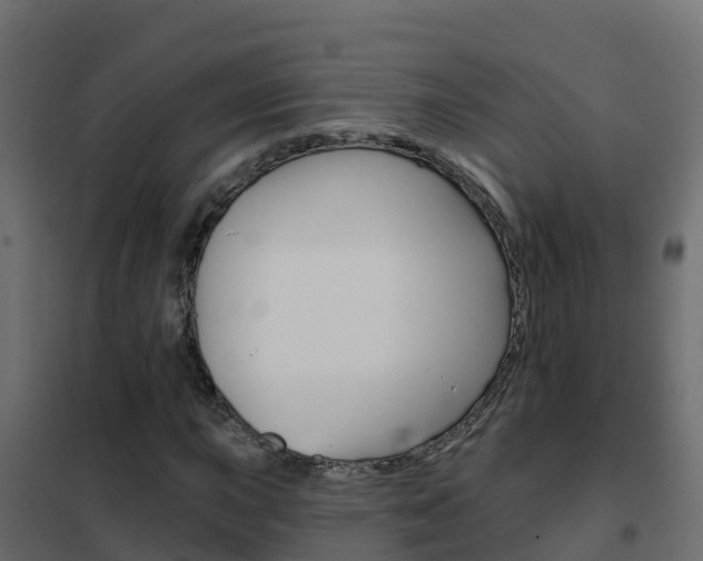X0000102491015200808081051