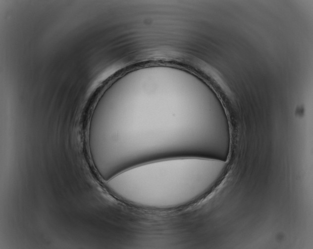 X0000102491018200808081051