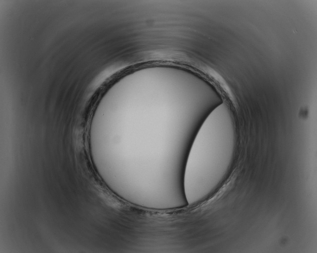 X0000102491019200808081051
