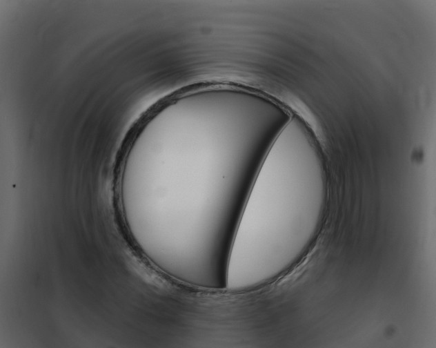 X0000102491020200808081051