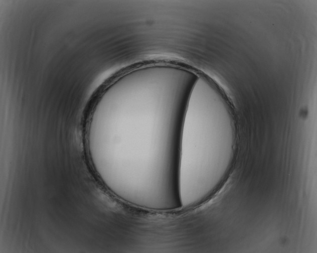 X0000102491022200808081051