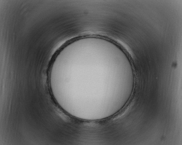 X0000102491023200808081051