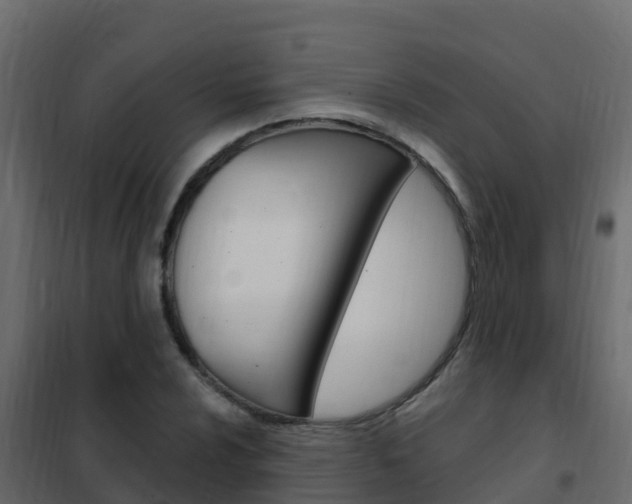 X0000102491024200808081051