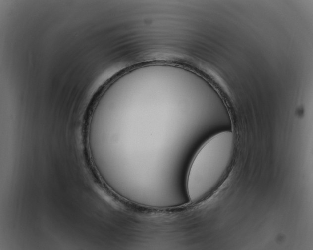 X0000102491026200808081051
