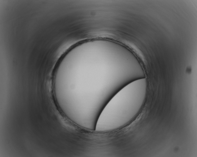 X0000102491031200808081051