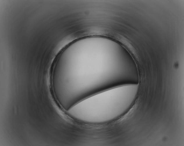 X0000102491034200808081051