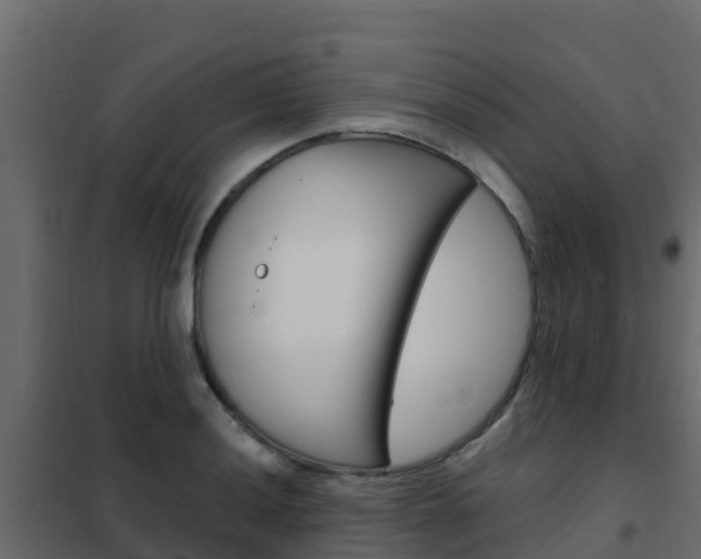 X0000102491036200808081051