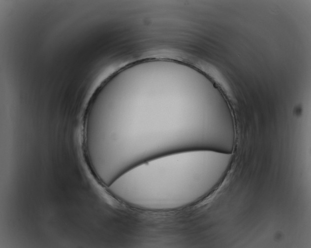 X0000102491040200808081051