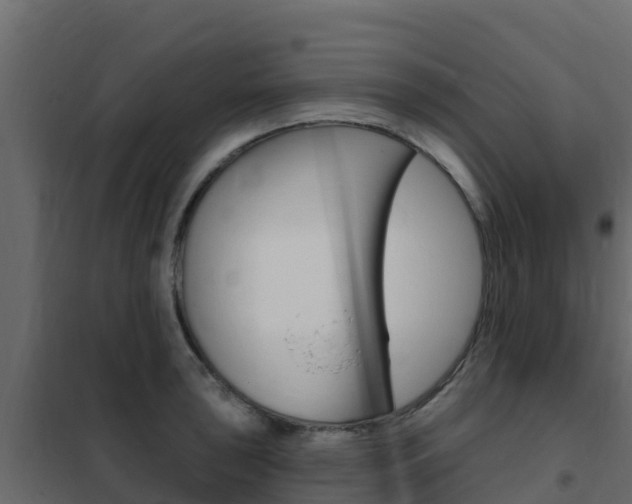 X0000102491043200808081051