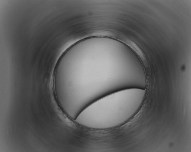X0000102491044200808081051