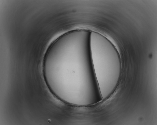 X0000102491045200808081051