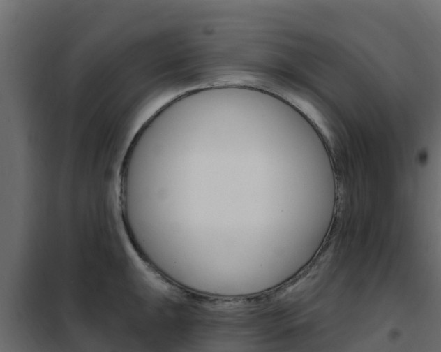 X0000102491047200808081052