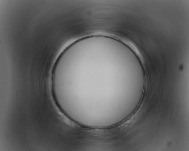 X0000102491048200808081052