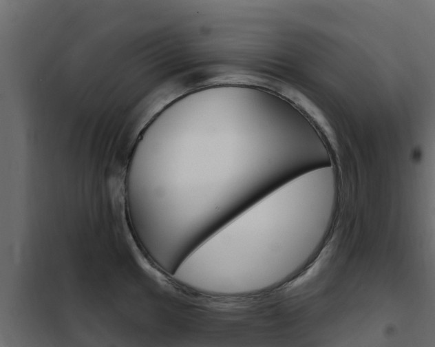 X0000102491049200808081052