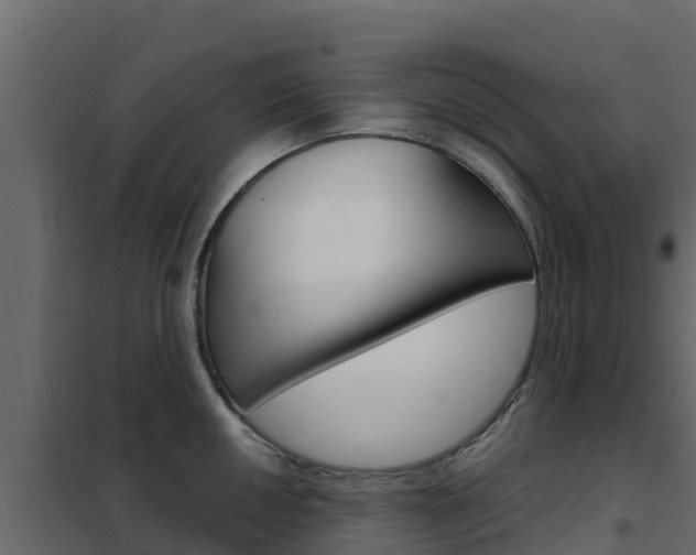 X0000102491050200808081052
