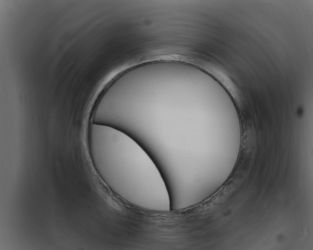 X0000102491051200808081052