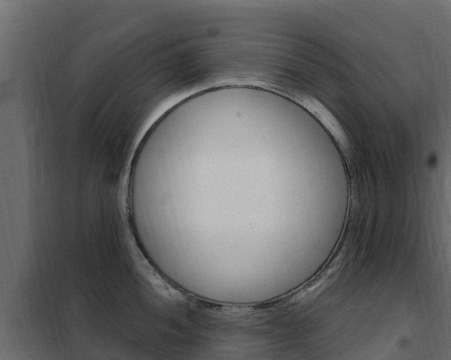 X0000102491052200808081052
