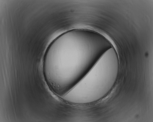 X0000102491053200808081052