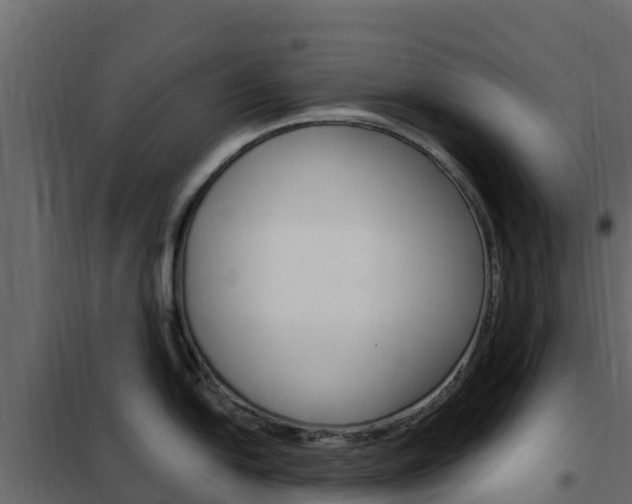 X0000102491054200808081052