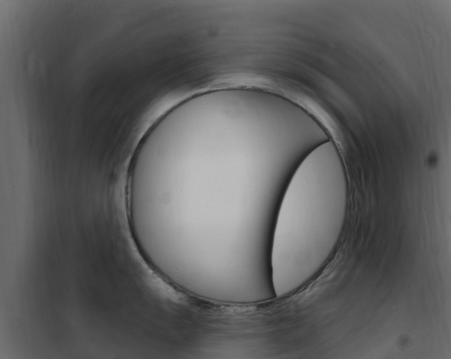 X0000102491055200808081052
