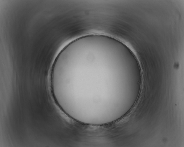 X0000102491056200808081052