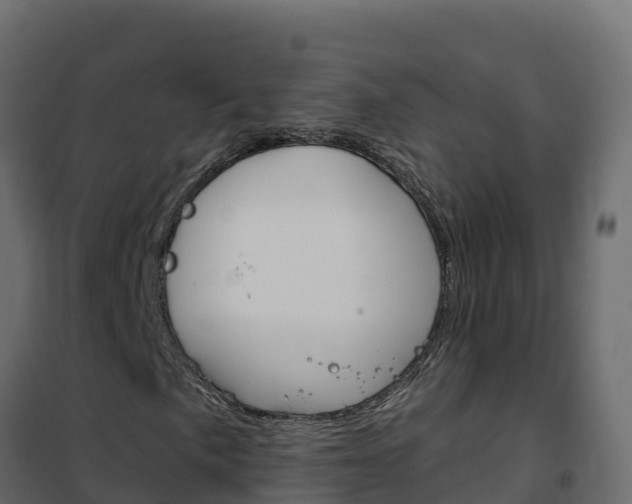 X0000102491057200808081051
