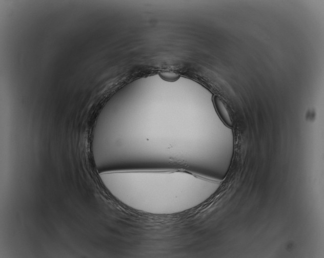 X0000102491058200808081051