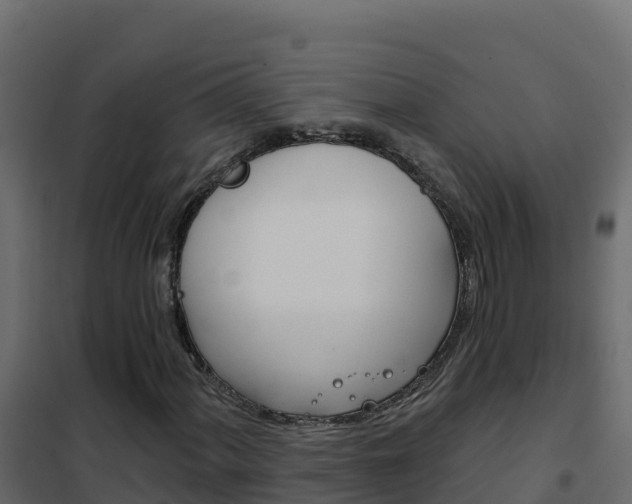 X0000102491060200808081051