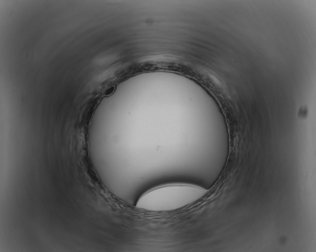 X0000102491062200808081051