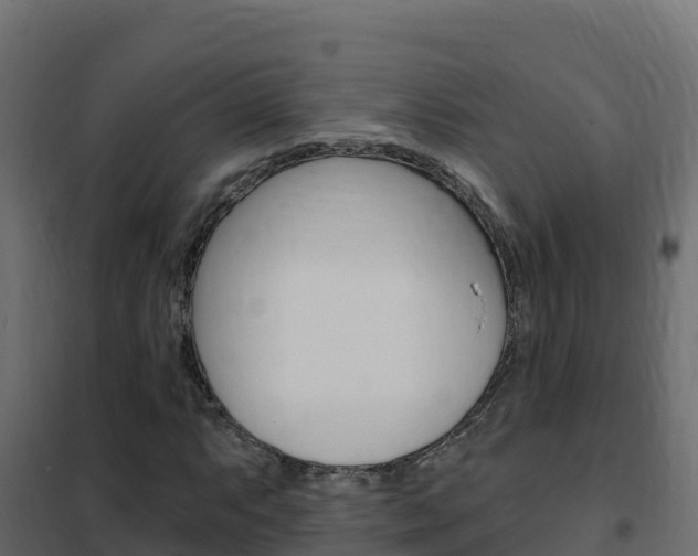 X0000102491063200808081051