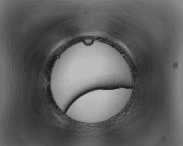 X0000102491064200808081051