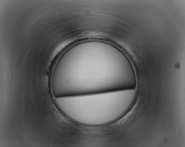X0000102491066200808081051