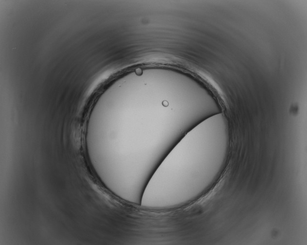 X0000102491067200808081051